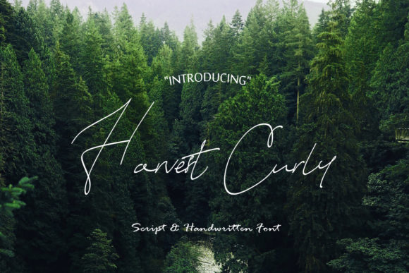 Harvest Curly: A Handwritten Typeface for Editorial Warmth